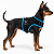 Peitoral de Neoprene com Guia para Cães PP | Luna Lua - Imagem 18