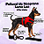 Peitoral de Neoprene com Guia para Cães PP | Luna Lua - Imagem 25