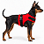 Peitoral de Neoprene com Guia para Cães PP | Luna Lua - Imagem 23