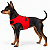 Peitoral de Neoprene com Guia para Cães PP | Luna Lua - Imagem 21