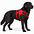 Peitoral de Neoprene com Guia para Cães G | Luna Lua - Imagem 10