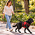 Peitoral de Neoprene com Guia para Cães G | Luna Lua - Imagem 12