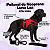 Peitoral de Neoprene com Guia para Cães G | Luna Lua - Imagem 13