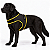 Peitoral de Neoprene com Guia para Cães G | Luna Lua - Imagem 6