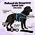 Peitoral de Neoprene com Guia para Cães G | Luna Lua - Imagem 25