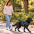 Peitoral de Neoprene com Guia para Cães G | Luna Lua - Imagem 22
