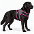 Peitoral de Neoprene com Guia para Cães G | Luna Lua - Imagem 3