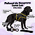 Peitoral de Neoprene com Guia para Cães G | Luna Lua - Imagem 5
