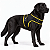 Peitoral de Neoprene com Guia para Cães G | Luna Lua - Imagem 8