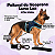 Peitoral de Neoprene com Guia para Cães GG | Luna Lua - Imagem 19