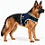 Peitoral de Neoprene com Guia para Cães GG | Luna Lua - Imagem 18