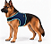 Peitoral de Neoprene com Guia para Cães GG | Luna Lua - Imagem 16