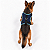 Peitoral de Neoprene com Guia para Cães GG | Luna Lua - Imagem 20