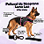 Peitoral de Neoprene com Guia para Cães GG | Luna Lua - Imagem 4