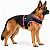 Peitoral de Neoprene com Guia para Cães GG | Luna Lua - Imagem 3