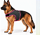 Peitoral de Neoprene com Guia para Cães GG | Luna Lua - Imagem 1