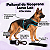Peitoral de Neoprene com Guia para Cães GG | Luna Lua - Imagem 9