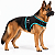 Peitoral de Neoprene com Guia para Cães GG | Luna Lua - Imagem 8