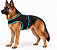Peitoral de Neoprene com Guia para Cães GG | Luna Lua - Imagem 6