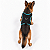 Peitoral de Neoprene com Guia para Cães GG | Luna Lua - Imagem 10