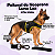 Peitoral de Neoprene com Guia para Cães GG | Luna Lua - Imagem 24