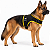 Peitoral de Neoprene com Guia para Cães GG | Luna Lua - Imagem 23