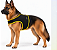Peitoral de Neoprene com Guia para Cães GG | Luna Lua - Imagem 21