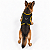 Peitoral de Neoprene com Guia para Cães GG | Luna Lua - Imagem 25