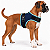 Peitoral de Neoprene com Guia para Cães M | Luna Lua - Imagem 3