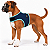 Peitoral de Neoprene com Guia para Cães M | Luna Lua - Imagem 1