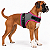 Peitoral de Neoprene com Guia para Cães M | Luna Lua - Imagem 8