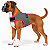 Peitoral de Neoprene com Guia para Cães M | Luna Lua - Imagem 6