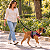Peitoral de Neoprene com Guia para Cães M | Luna Lua - Imagem 7