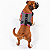 Peitoral de Neoprene com Guia para Cães M | Luna Lua - Imagem 9