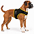 Peitoral de Neoprene com Guia para Cães M | Luna Lua - Imagem 18