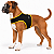 Peitoral de Neoprene com Guia para Cães M | Luna Lua - Imagem 16