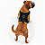 Peitoral de Neoprene com Guia para Cães M | Luna Lua - Imagem 19