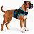 Peitoral de Neoprene com Guia para Cães M | Luna Lua - Imagem 23