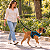 Peitoral de Neoprene com Guia para Cães M | Luna Lua - Imagem 22