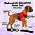 Peitoral de Neoprene com Guia para Cães M | Luna Lua - Imagem 15