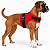 Peitoral de Neoprene com Guia para Cães M | Luna Lua - Imagem 13