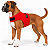 Peitoral de Neoprene com Guia para Cães M | Luna Lua - Imagem 11