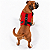 Peitoral de Neoprene com Guia para Cães M | Luna Lua - Imagem 14
