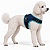 Peitoral de Neoprene com Guia para Cães P | Luna Lua - Imagem 24