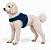 Peitoral de Neoprene com Guia para Cães P | Luna Lua - Imagem 21