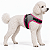 Peitoral de Neoprene com Guia para Cães P | Luna Lua - Imagem 3