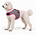 Peitoral de Neoprene com Guia para Cães P | Luna Lua - Imagem 1