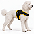 Peitoral de Neoprene com Guia para Cães P | Luna Lua - Imagem 8