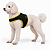 Peitoral de Neoprene com Guia para Cães P | Luna Lua - Imagem 6