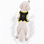 Peitoral de Neoprene com Guia para Cães P | Luna Lua - Imagem 10